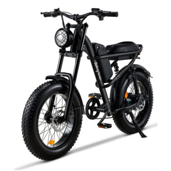 [USA DIRECT] Ridingtimes Z8 48V 15A 500W 20*4.0 Inch Fat Tire Electric Bike 90-120km Max Range Dual Mechanical Disc Brake