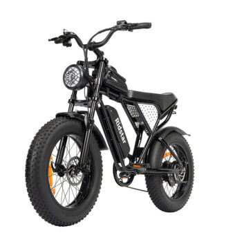 [EU DIRECT] Ridstar Q20 Electric Bike 48V 15AH Battery 1000W Motor 20inch Tires 60-80KM Max Mileage 150KG Max Load Electric Bicycle