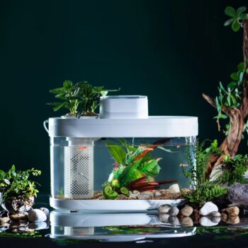 Descriptive Geometry DESGEO C180 9L Aquarium Pro Smart Feeder 7 Colors LED Light Self Cleaning Filtration Mini Aquarium With Mijia App Control