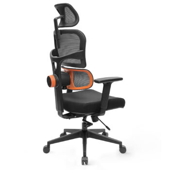 [Standard Version] NEWTRAL Ergonomic Office Chair High Back Desk Chair with Unique Adjustable Lumbar Support