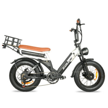 [EU DIRECT] BAOLUJIE DP2033 Electric Bike 48V 30AH Battery 1000W Motor 20inch Tires 90-100KM Max Mileage 120KG Max Load Electric Bicycle