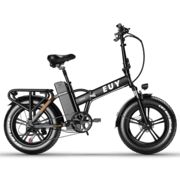 [EU DIRECT] Euybike F6 Electric Bike 48V 20Ah Battery 250W Motor 20inches Tires 94-100KM Max Mileage 150KG Max Load Folding Electric Bicycle