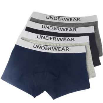 4pcs Men's Underwear