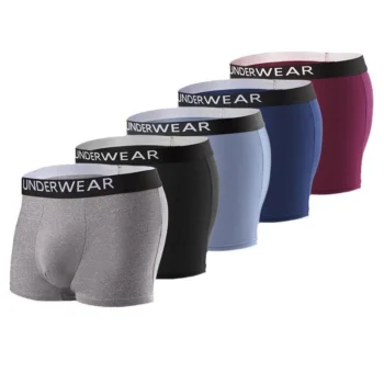 5pcs Men's Underwear