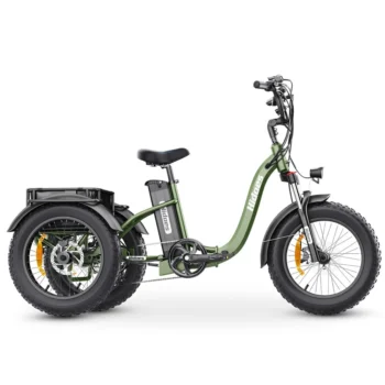 [EU DIRECT] Hidoes HD-ET1 Electric Tricycle Cargo 48V 20AH Battery 750W Motor 20inches Tires 40-65KM Max Mileage 150KG Max Load Electric Bike